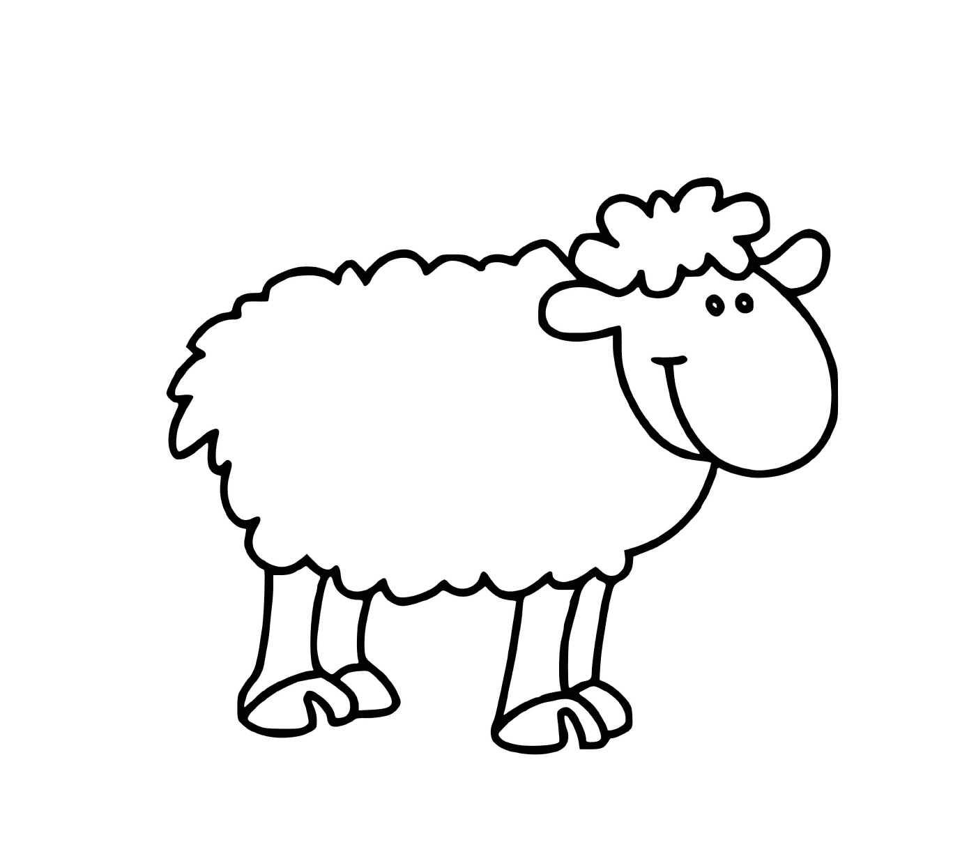  Docile sheep rest 
