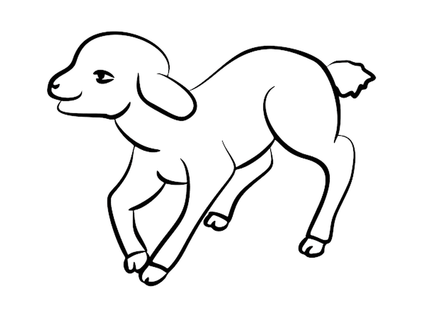  Lamb standing, cute illustration 