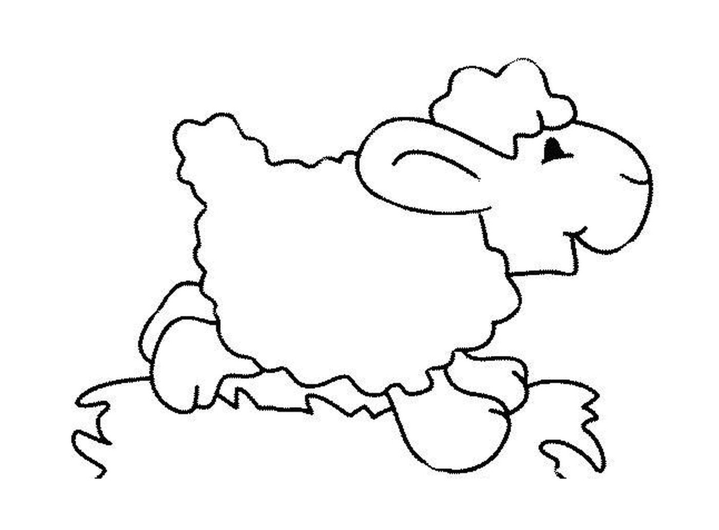  Short sheep in meadow 