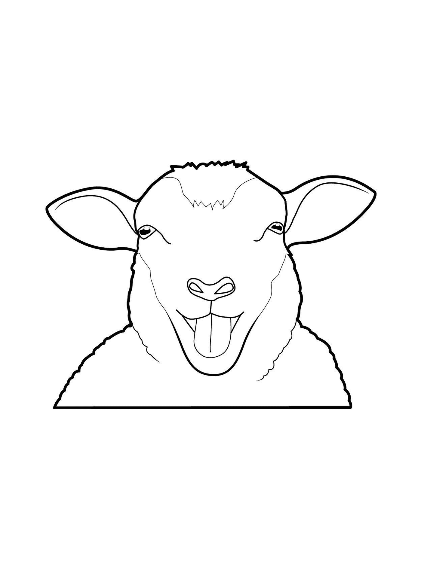  Овцы вытягивают язык 