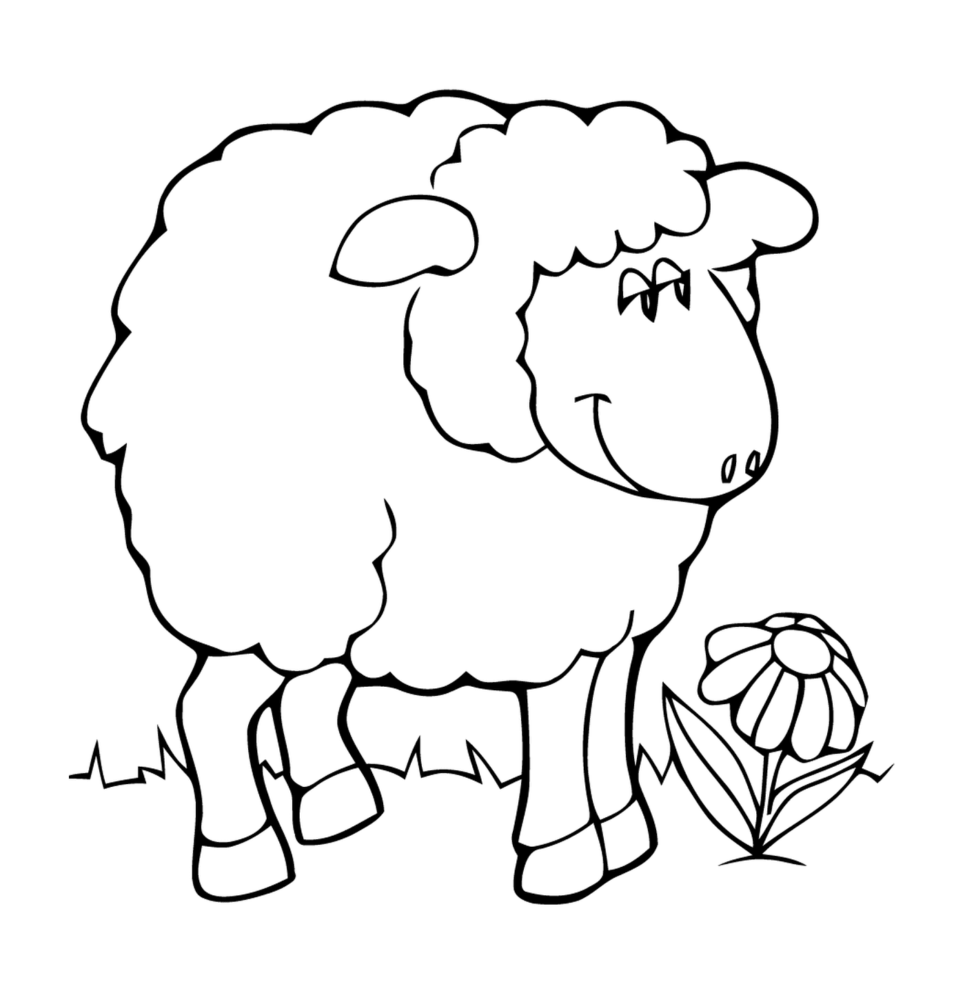  Mutters Schafe ruht sich leicht aus 