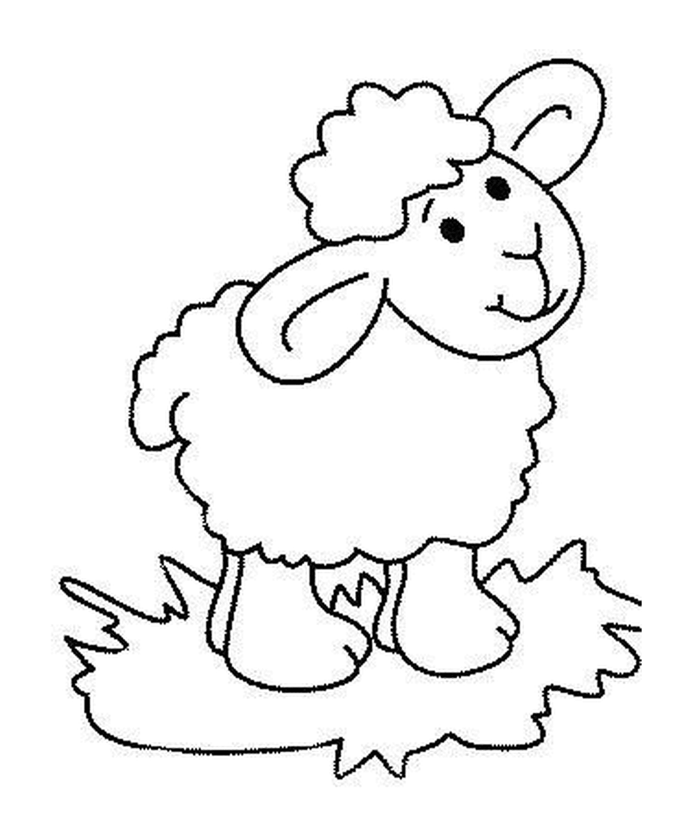  Sheep for children 