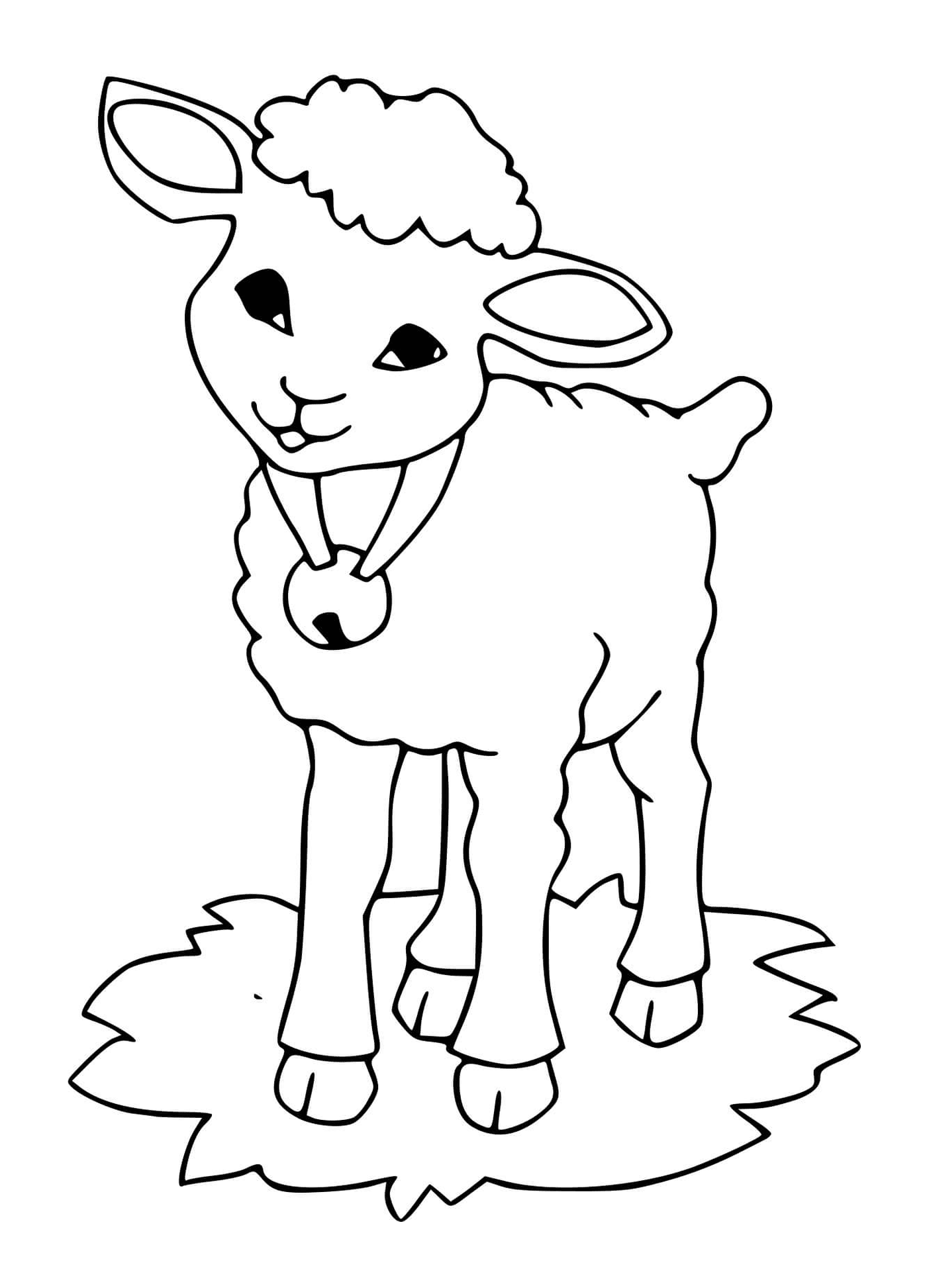  L'agnello indossa la campana piacevolmente 