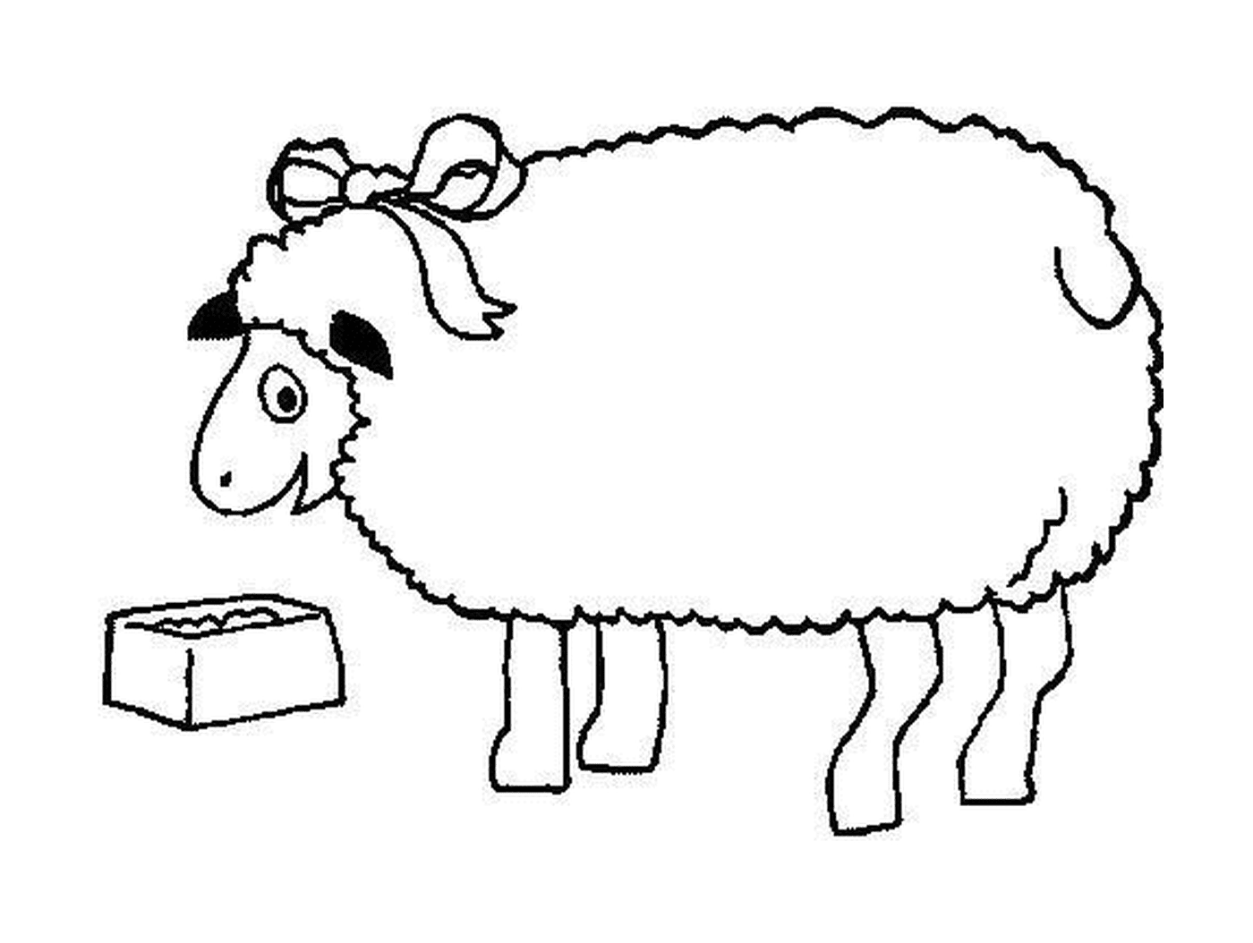  Las ovejas comen cerca de la caja 