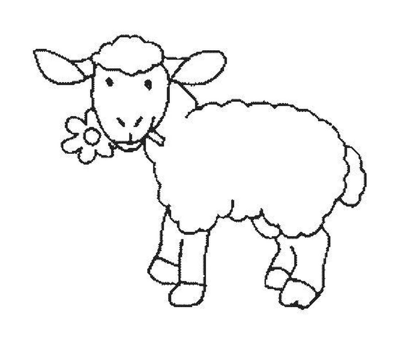  Mouton mangia con grazia il fiore 