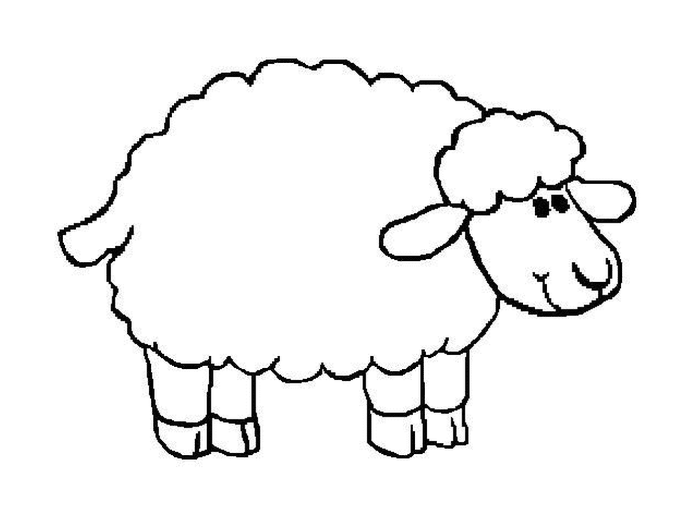  Typische landwirtschaftliche Schafe 