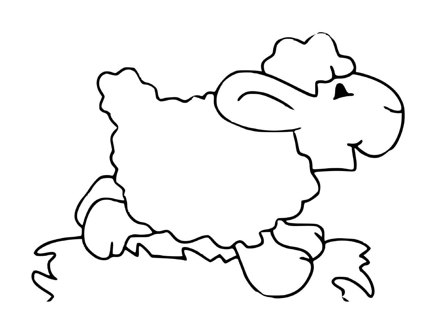  Овцы с рогами на лугу 
