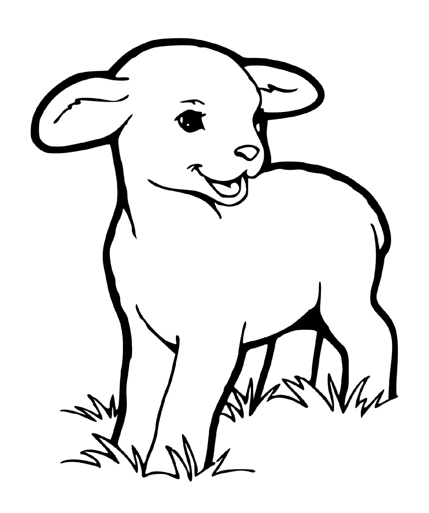 Маленькая овца, такая милая 