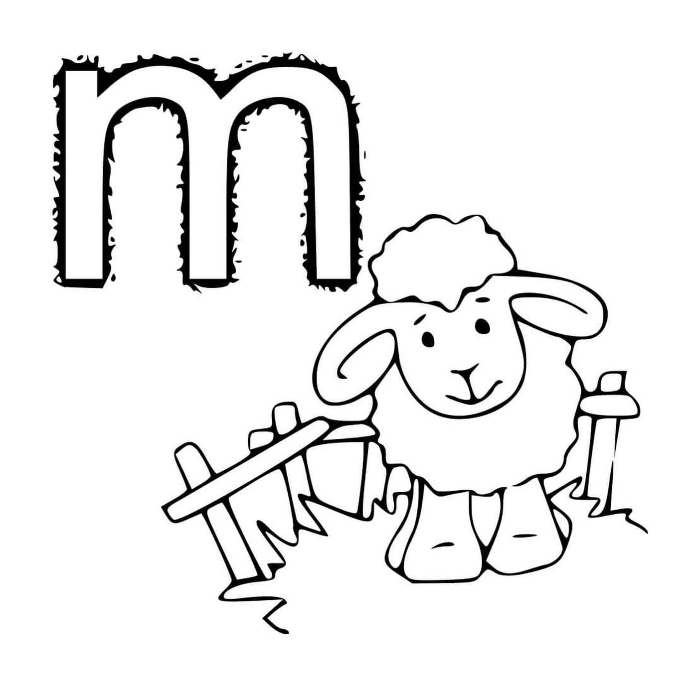  Sheep near fence, letter M 