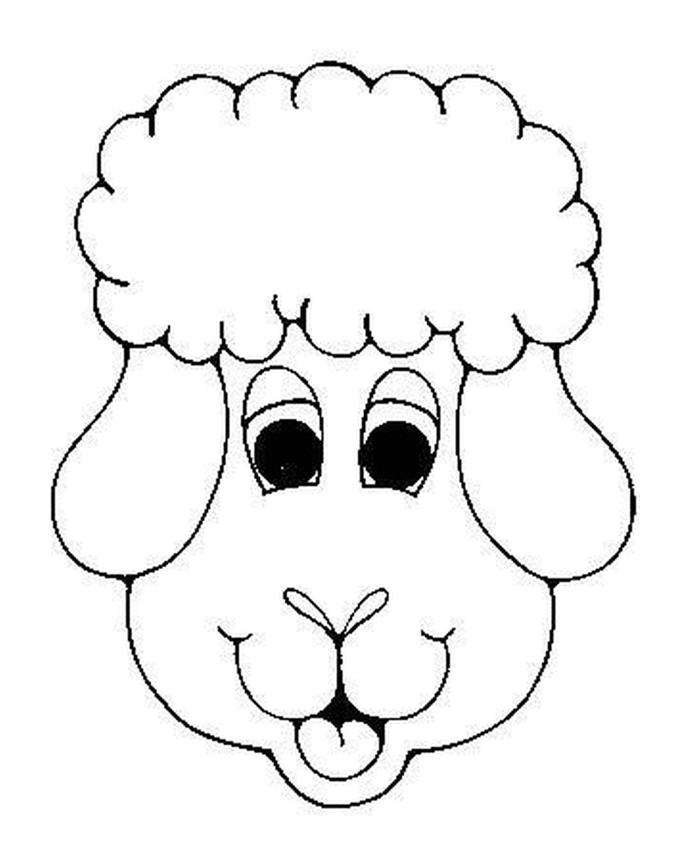  Nice sheep face 