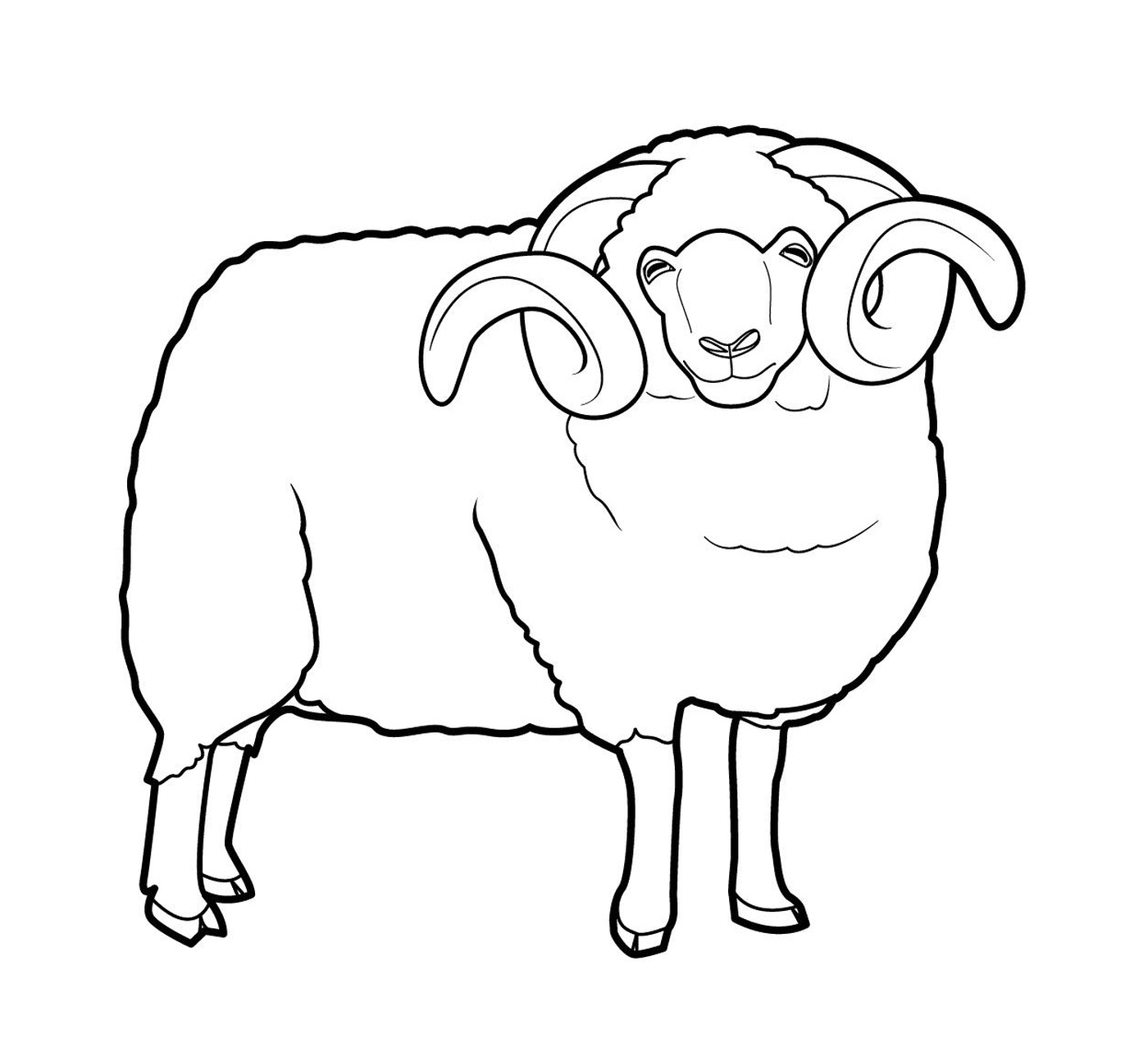  Impresionante oveja con cuernos 