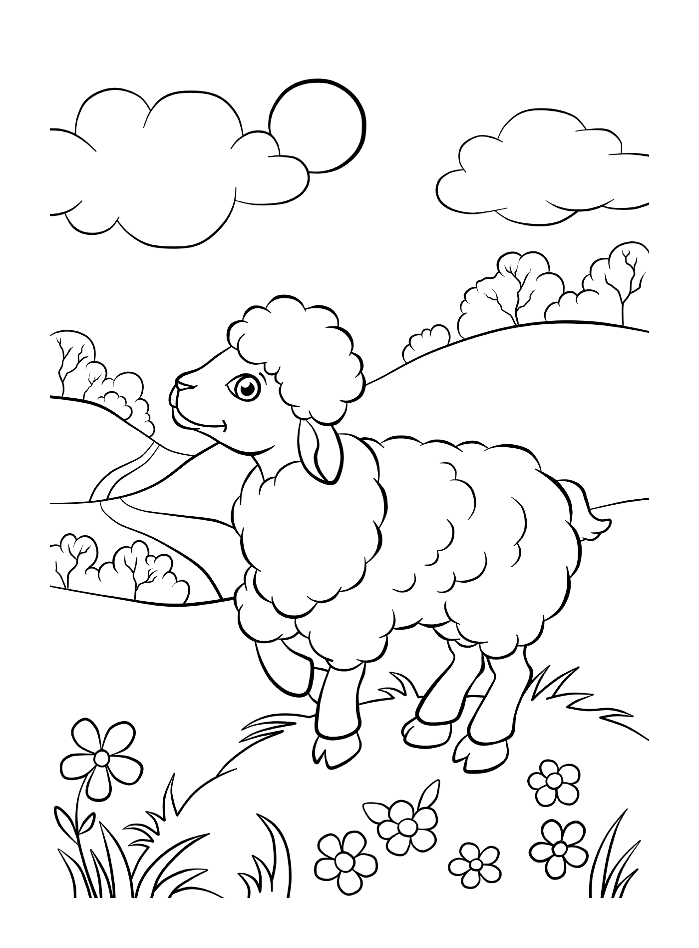  Sheep in green fields 