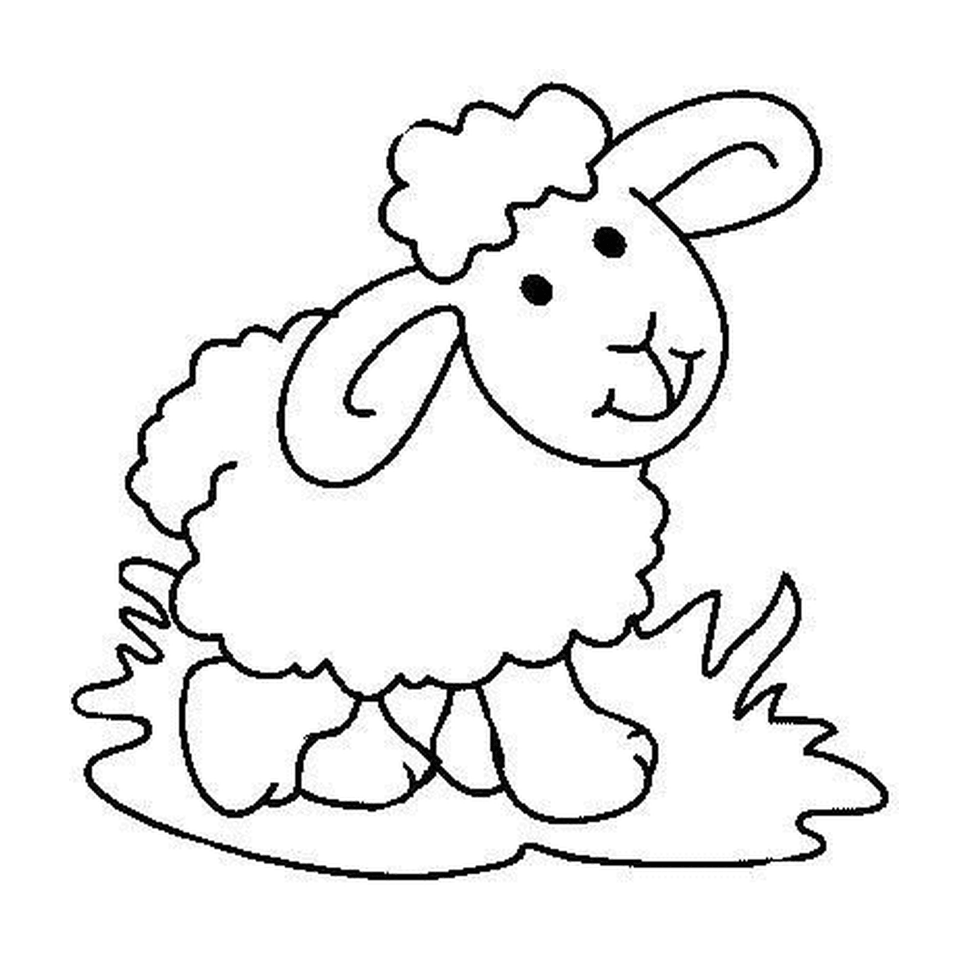  Pecore tra l'erba verde 