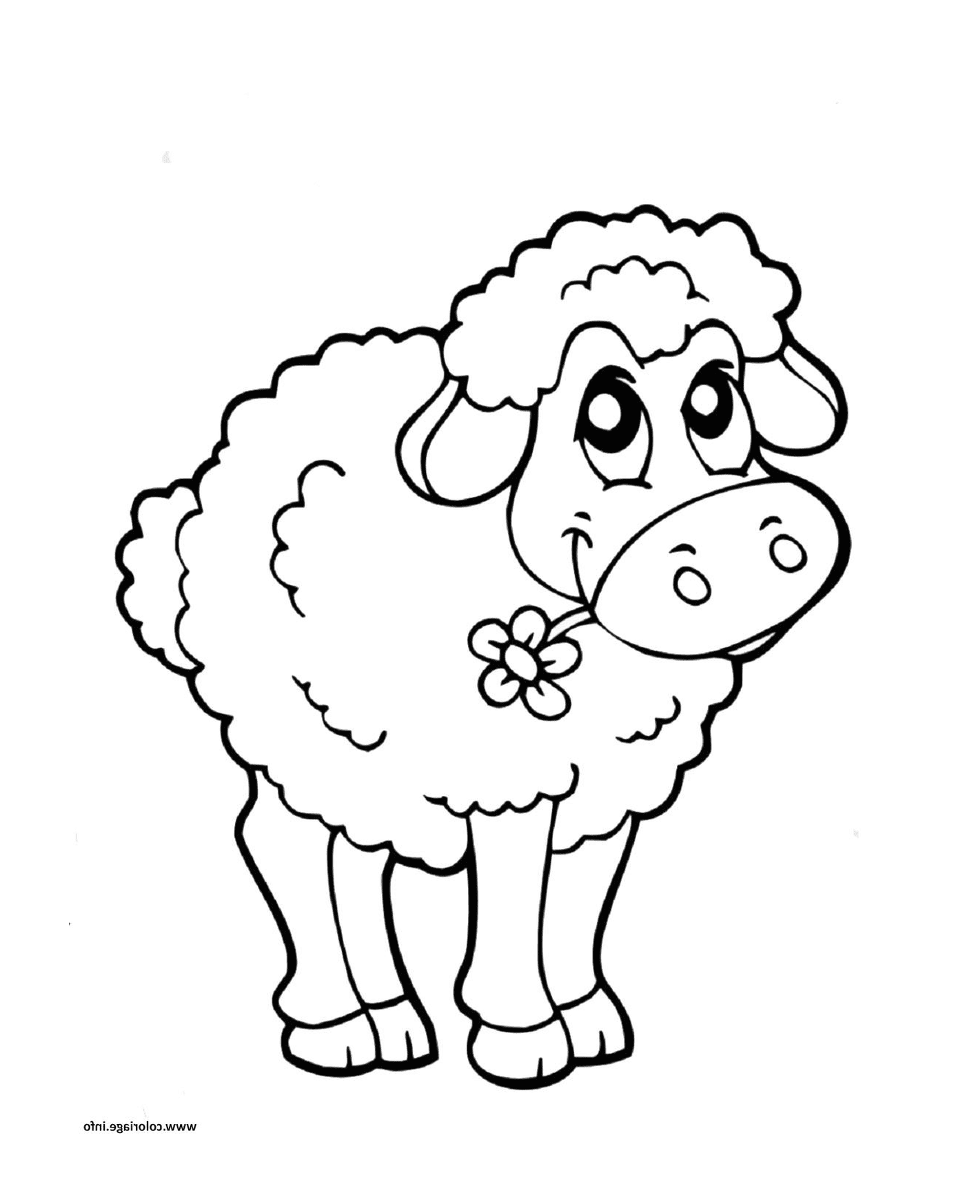  Sheep child, easy to appreciate 