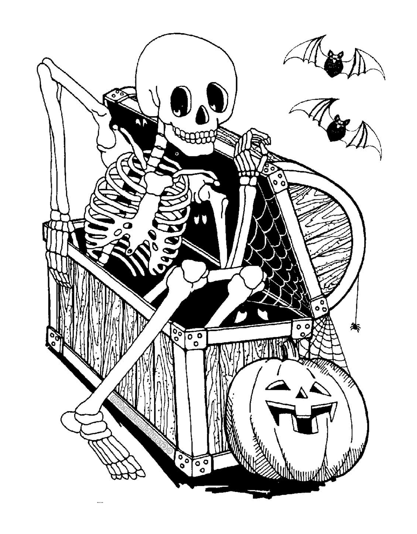  adult Halloween, skeleton, sitting in a chair 