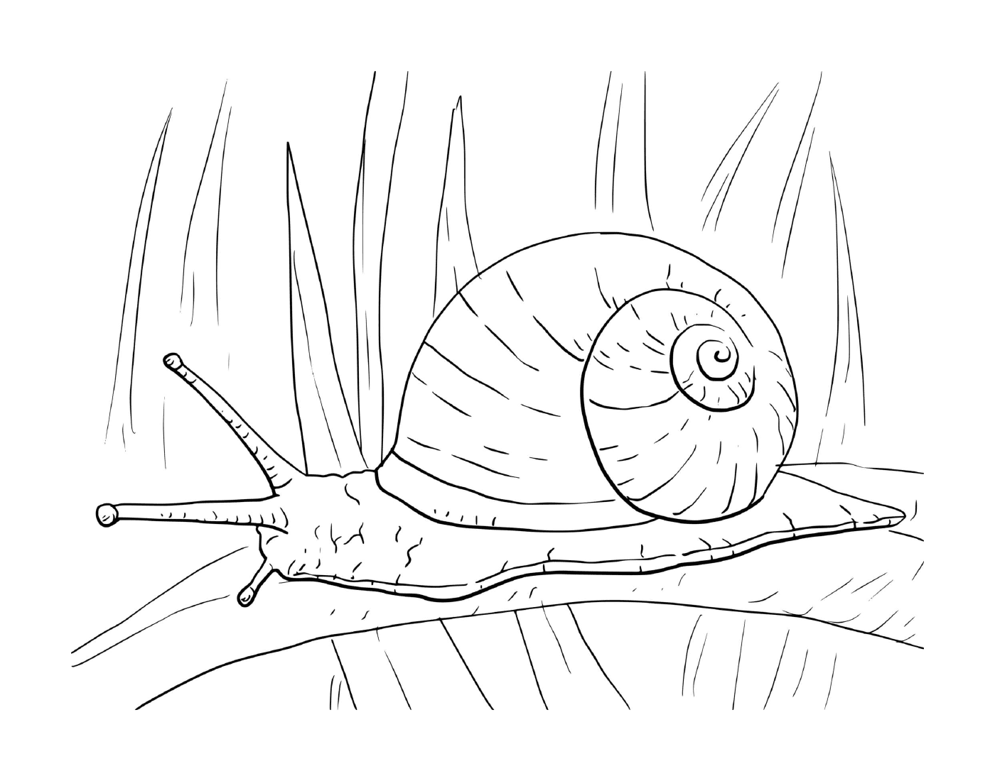  A snail swinging on a branch 