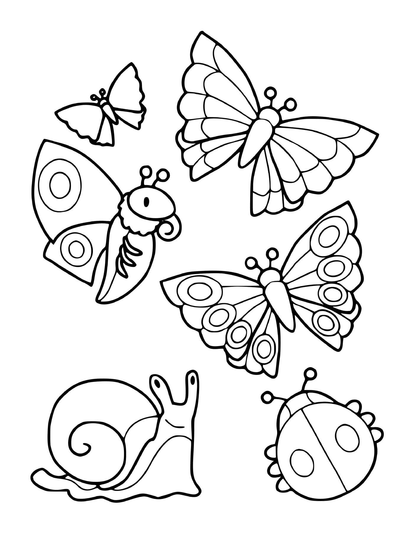  Eine Sammlung von Insekten, darunter Schmetterlinge und eine Schnecke 