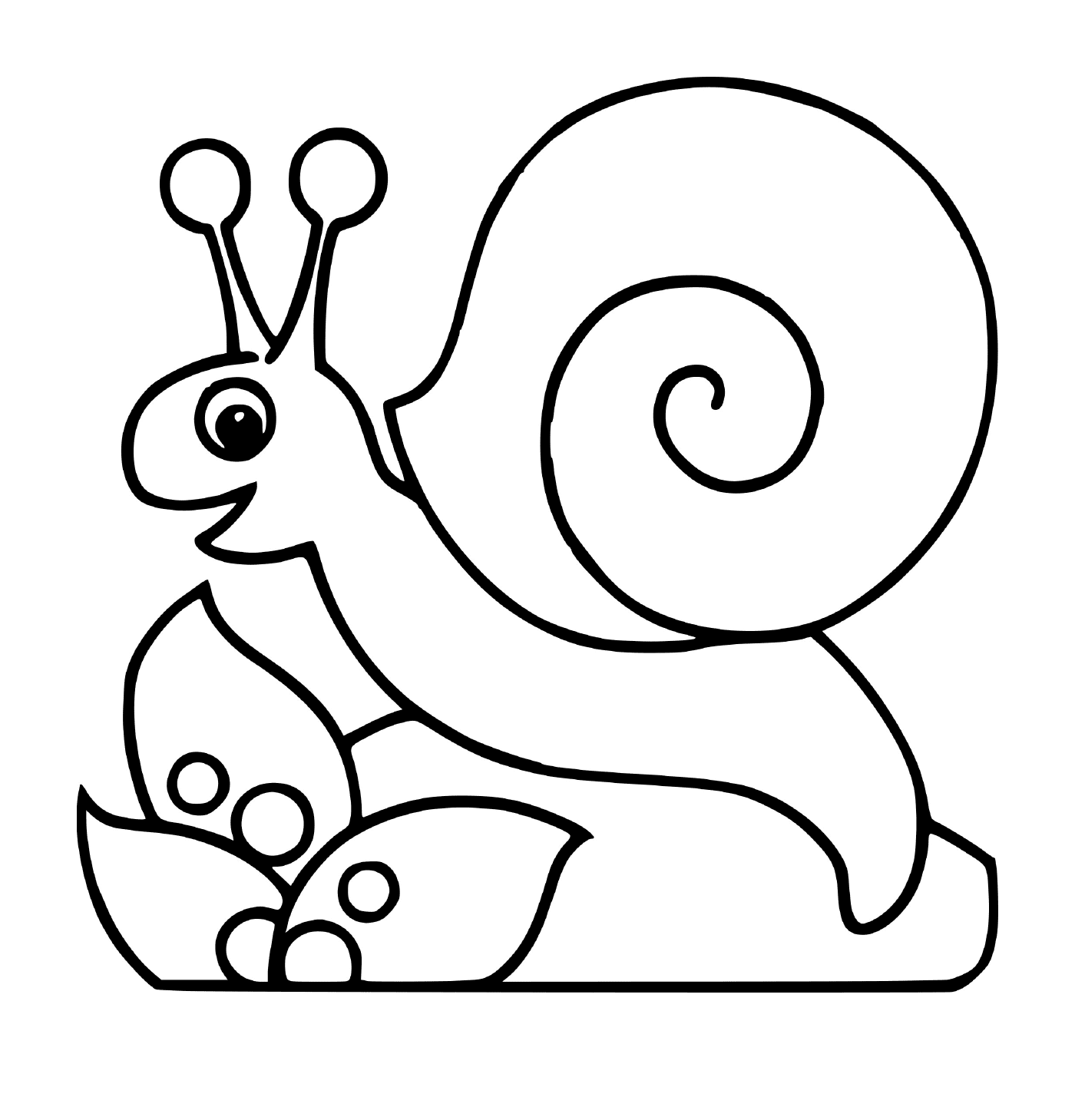  Peaceful snail near a flower 