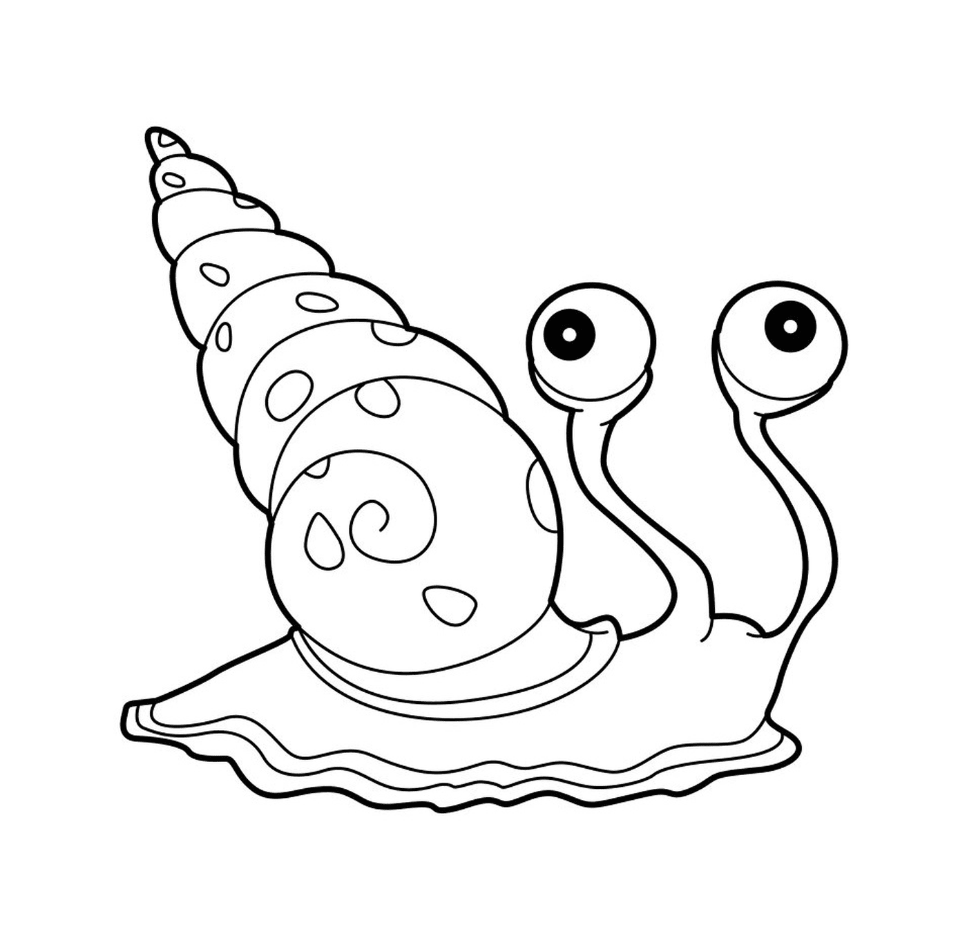  Un buen caracol de mar con una concha 