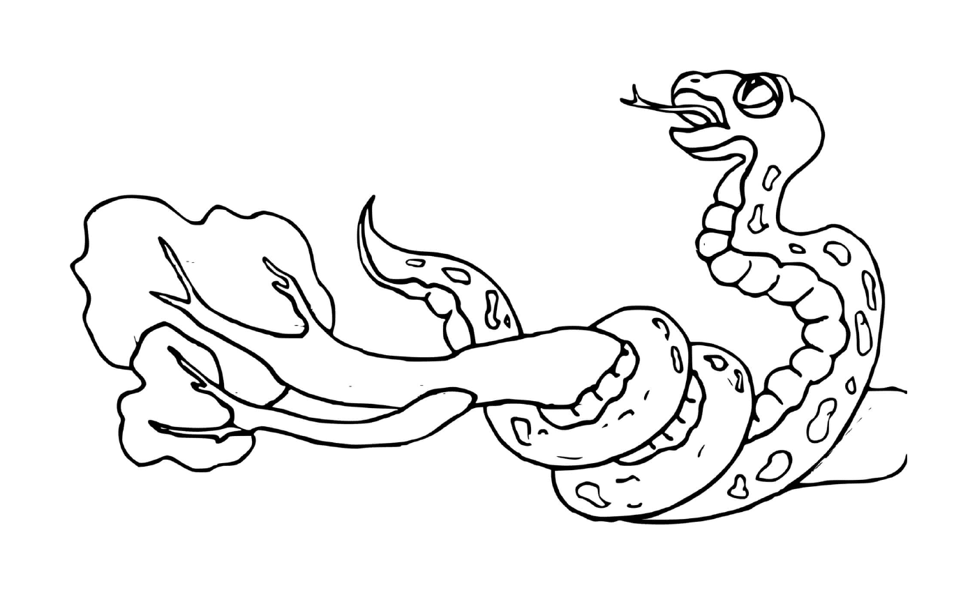  Serpente che avvolge un ramo 