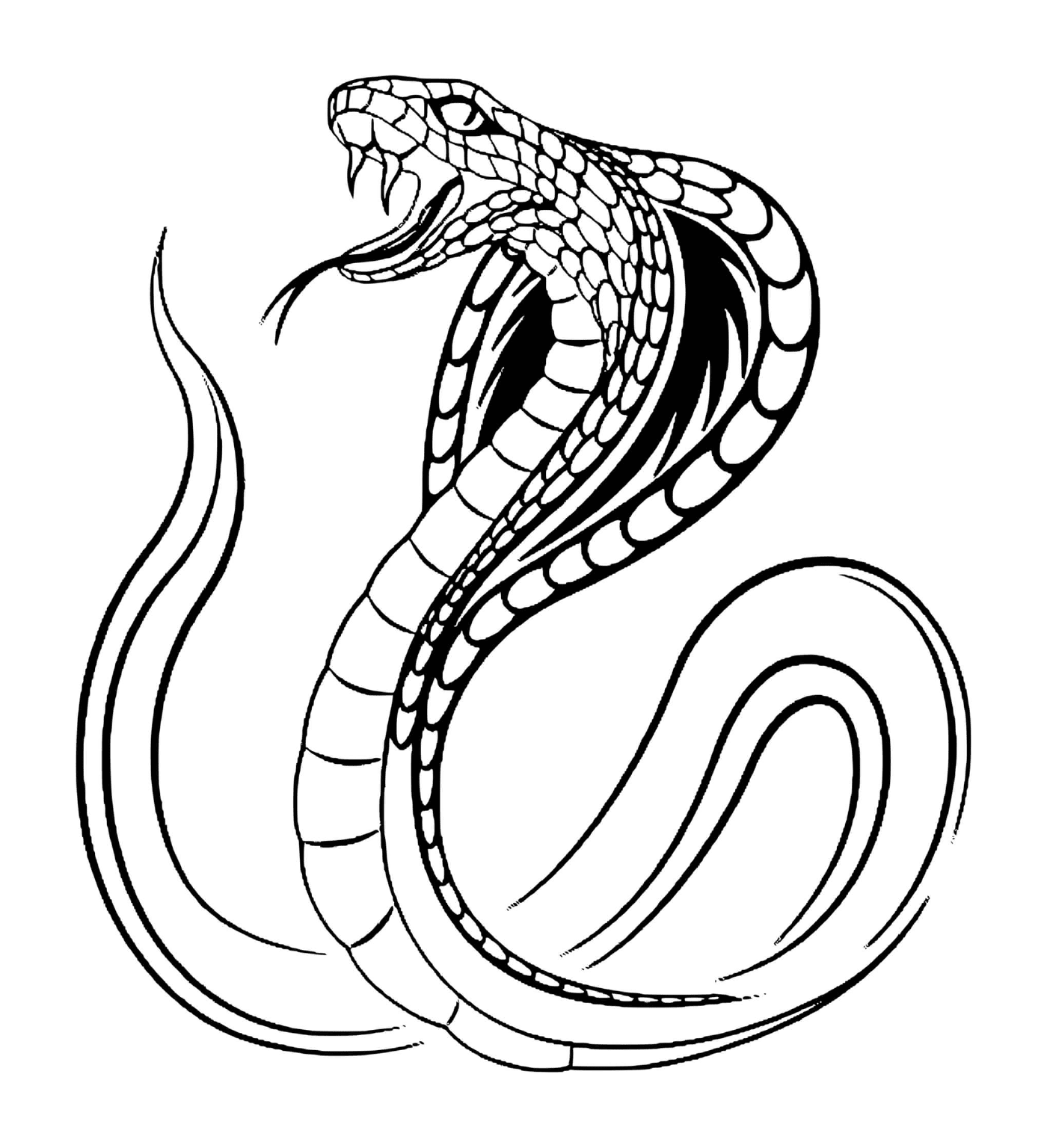  Serpiente de cobra 