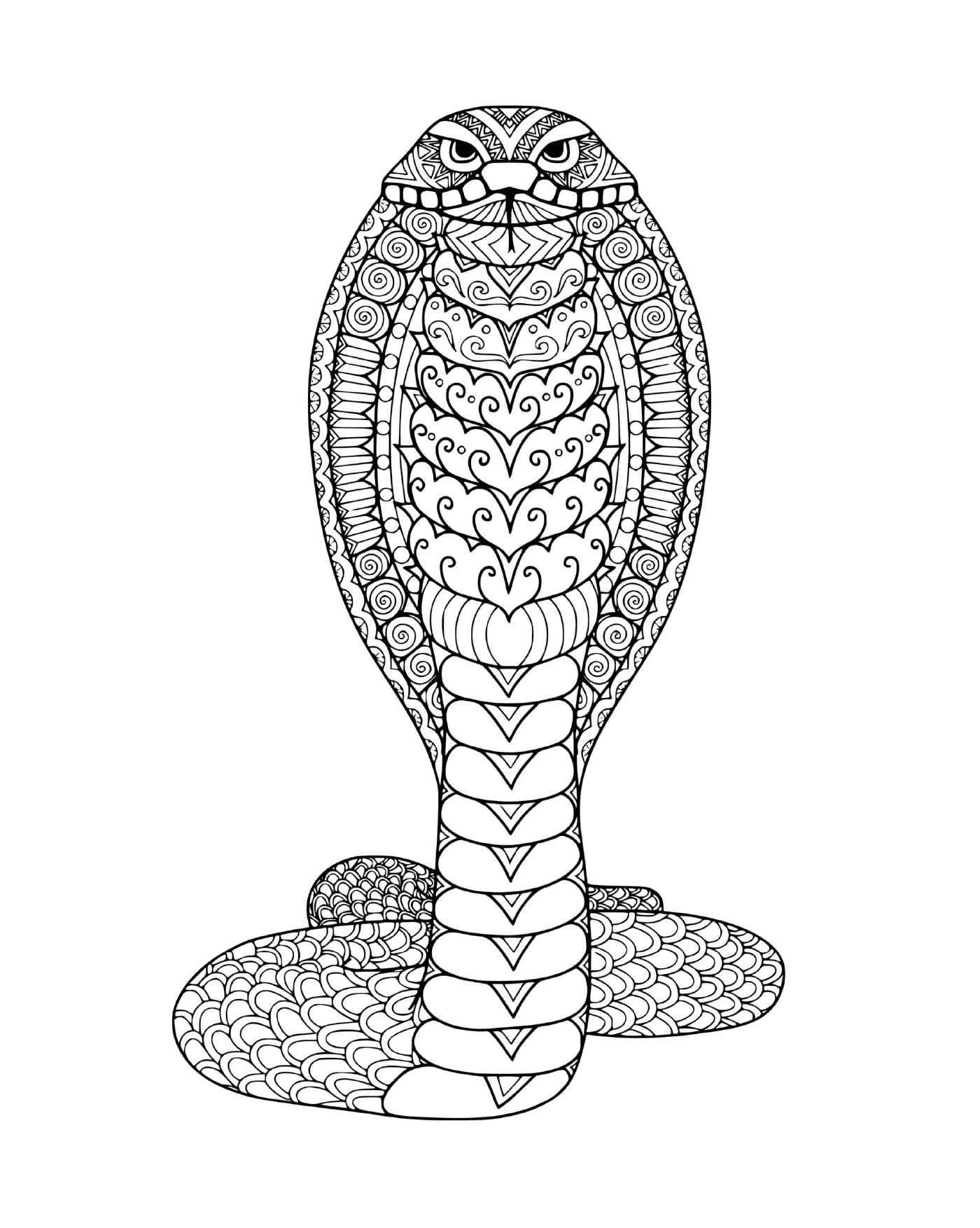  Serpiente de mandala adulta 