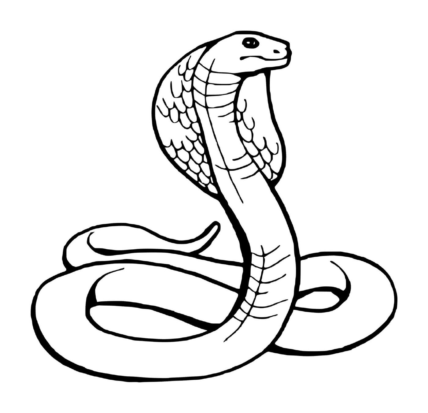  Serpiente, serpiente 