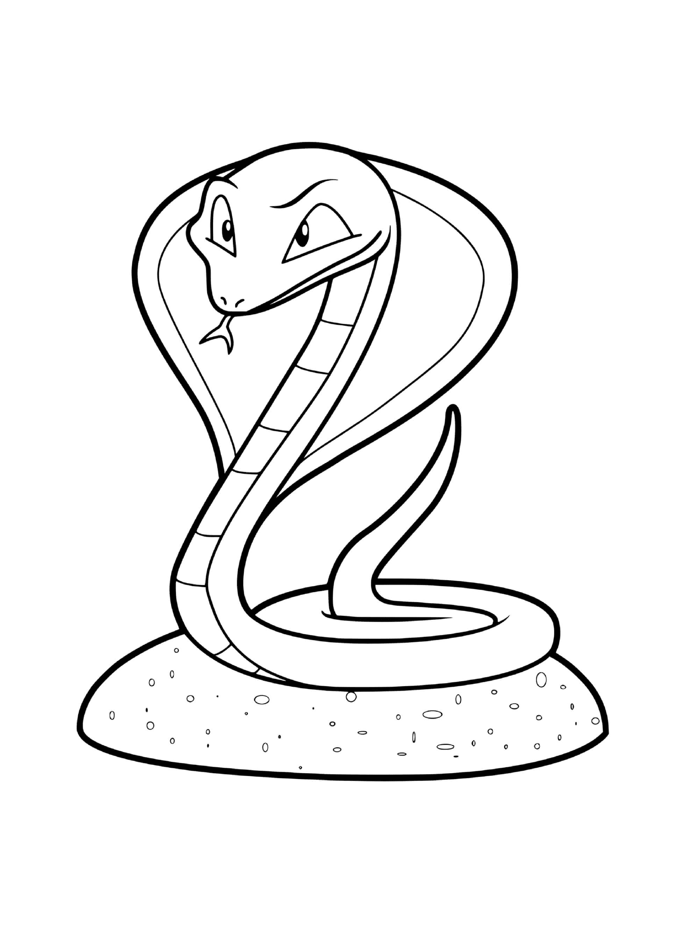  Pitón de serpiente 