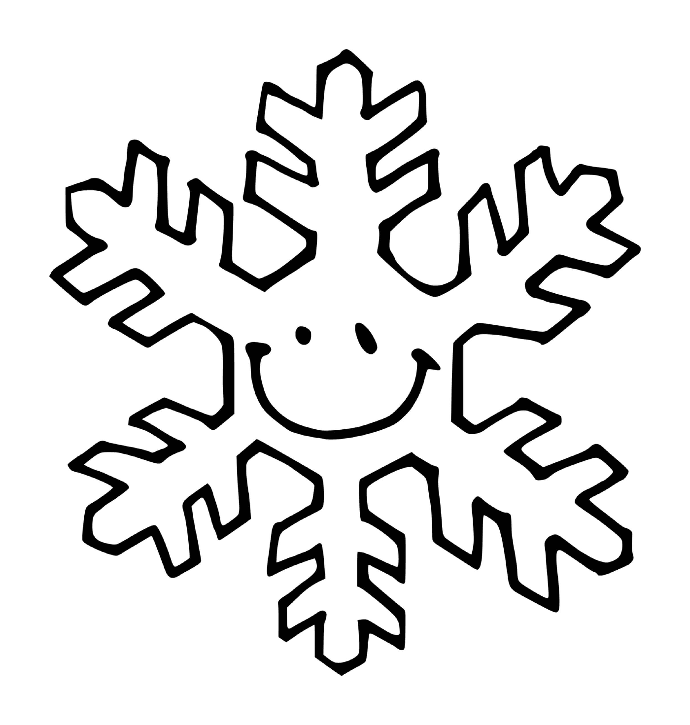  Un fiocco di neve sorridente 