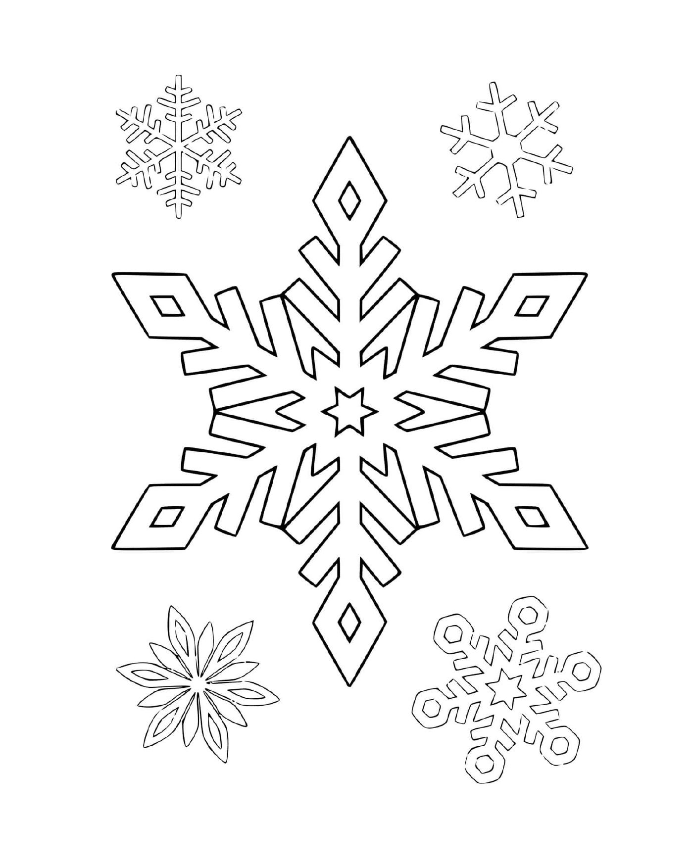  Various snowflakes 