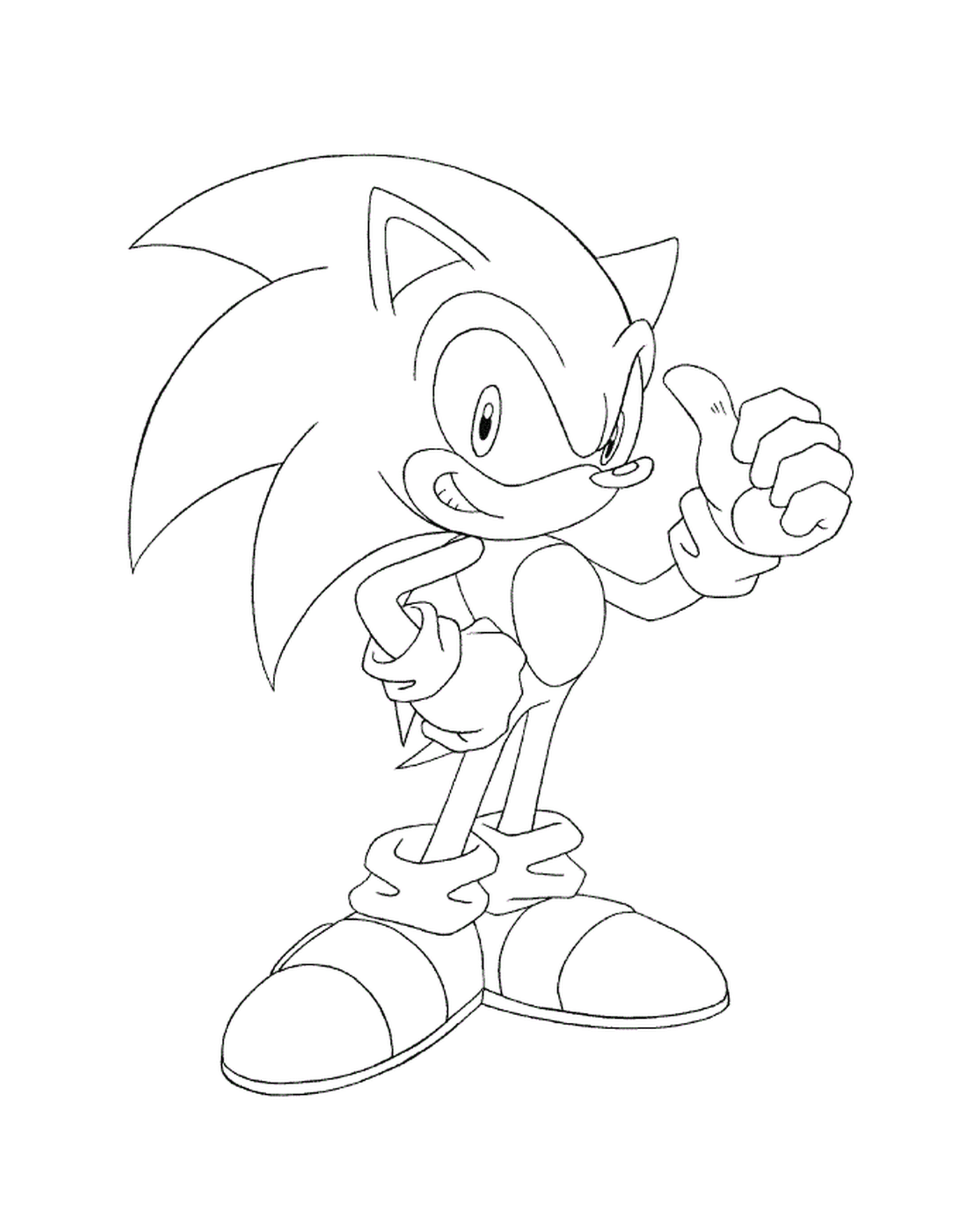  Sonic der ikonische klassische Igel 