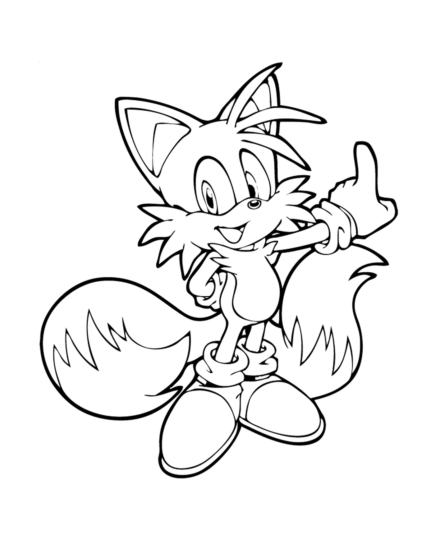  Ein Fuchs mit Sonic 