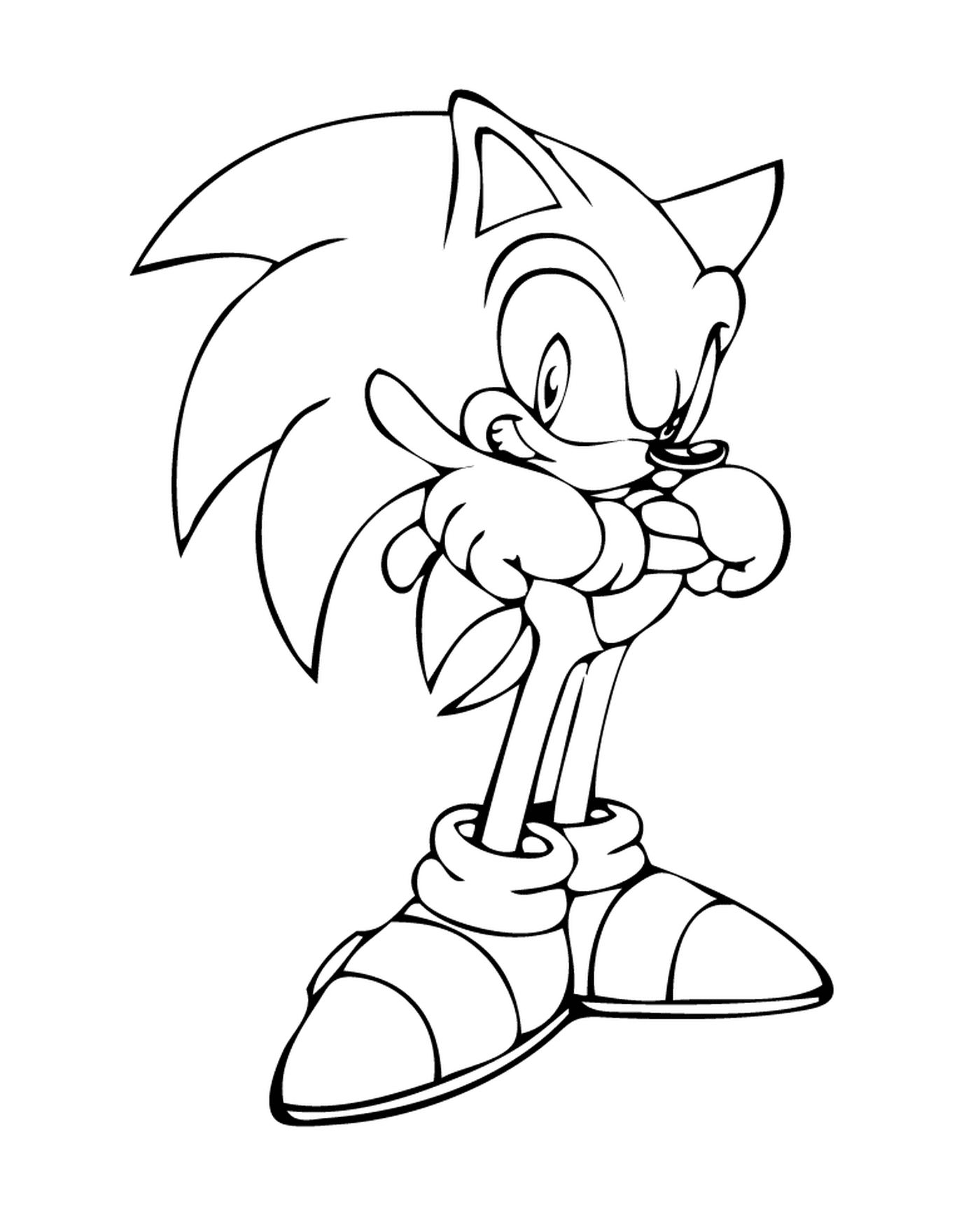  Cool Sonic el erizo 