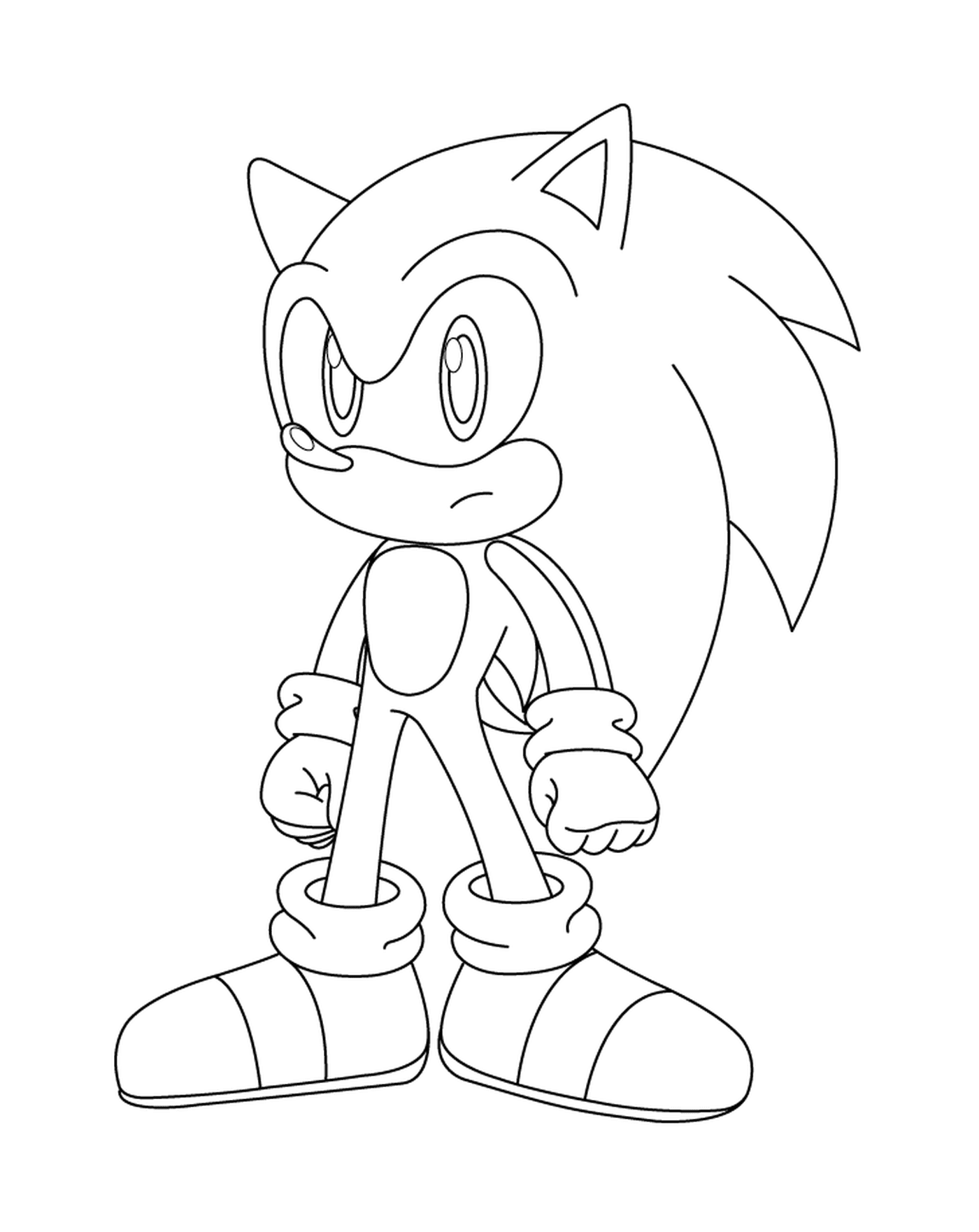  Potente e veloce Sonic 