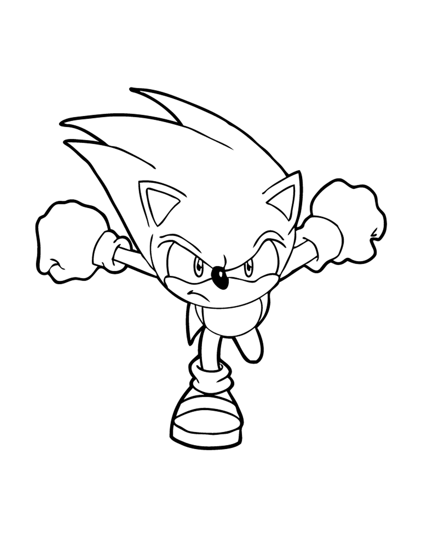  Sonic el erizo a cargo 