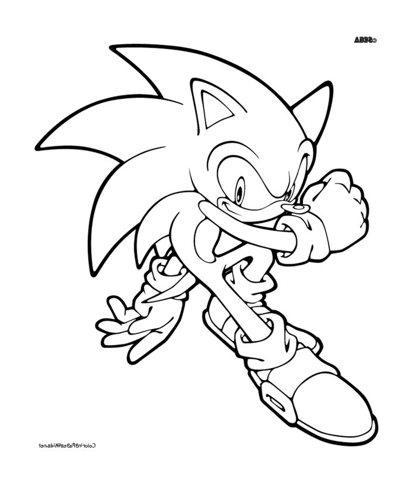  Super energetic Sonic 