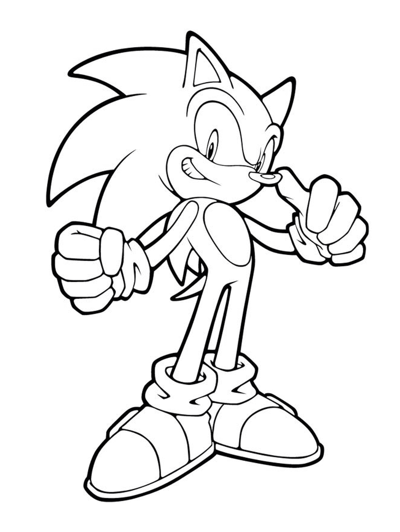  Sonic in einer kühnen Haltung 