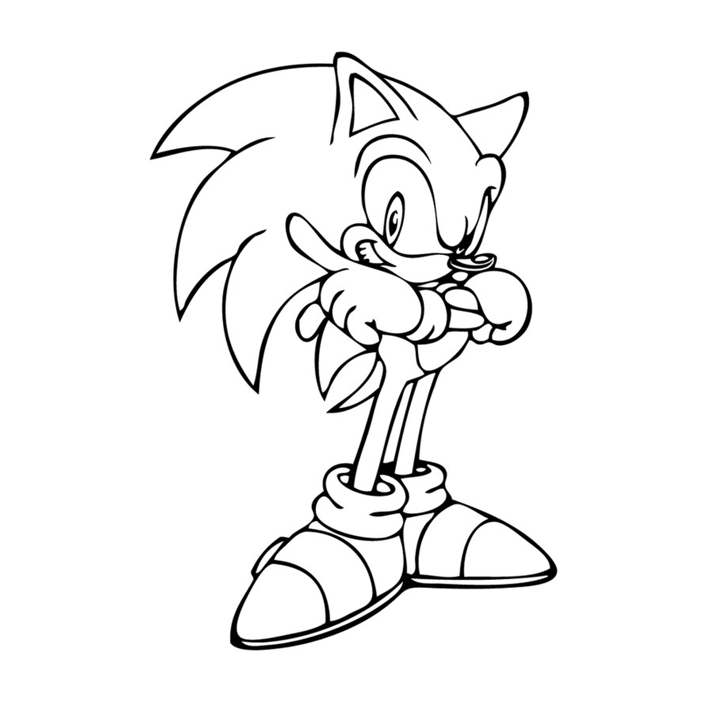  Sonic the famous hedgehog 