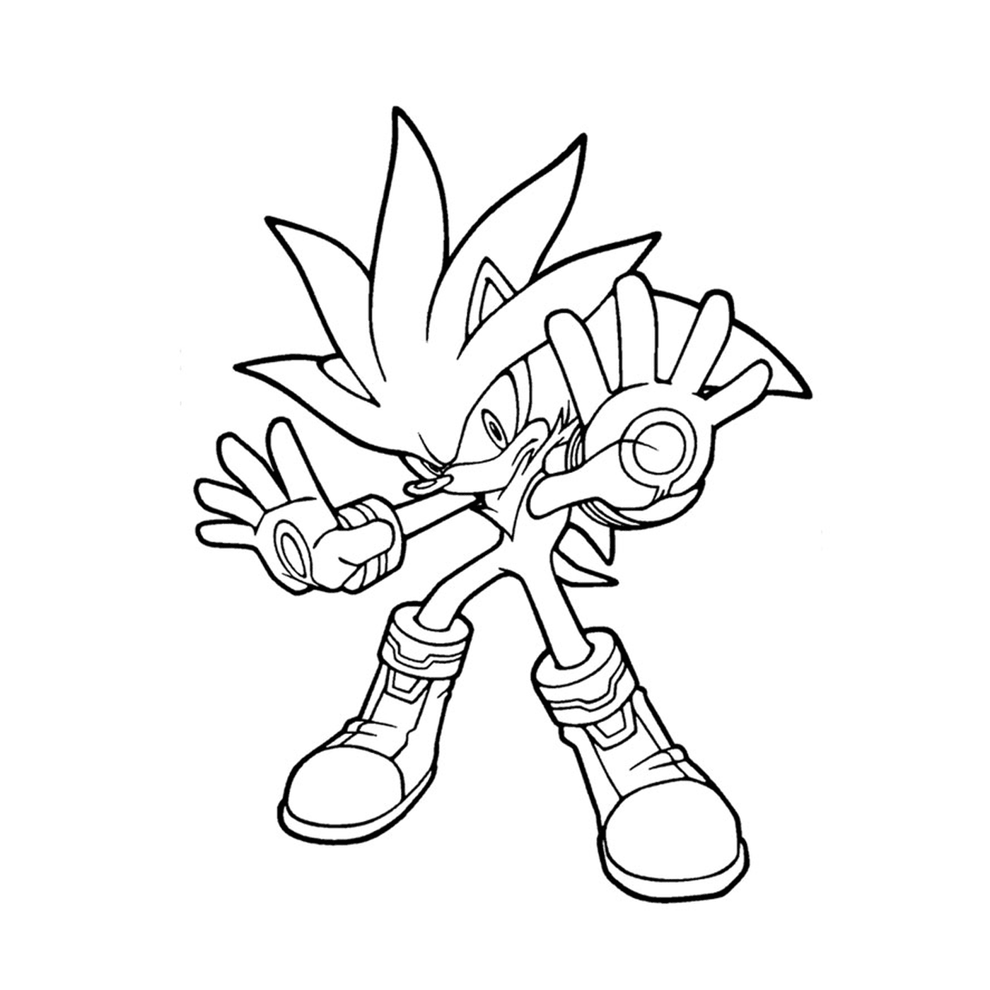  Sonic in the animated series Sonic X 