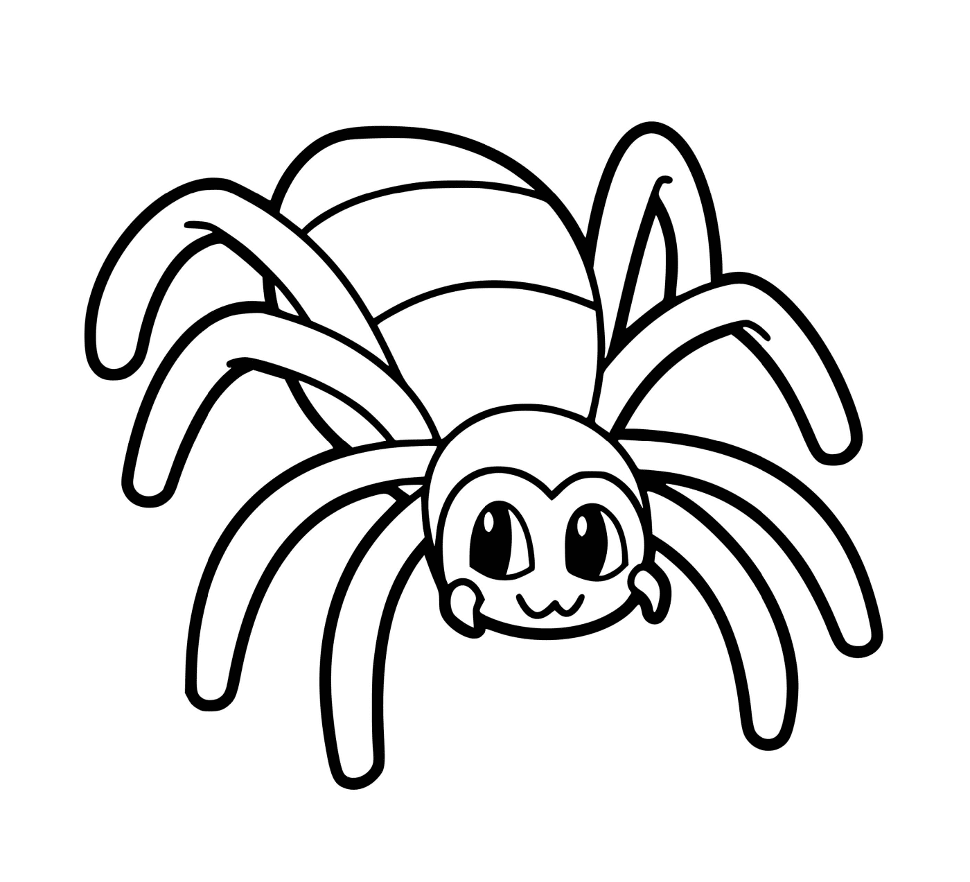  Un ragno 