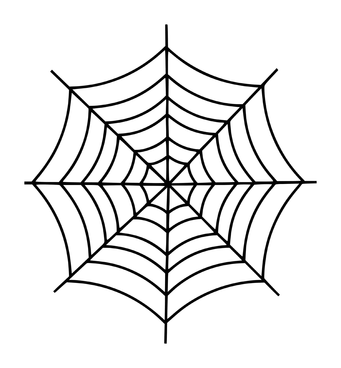  Ein einfaches Spinnennetz 