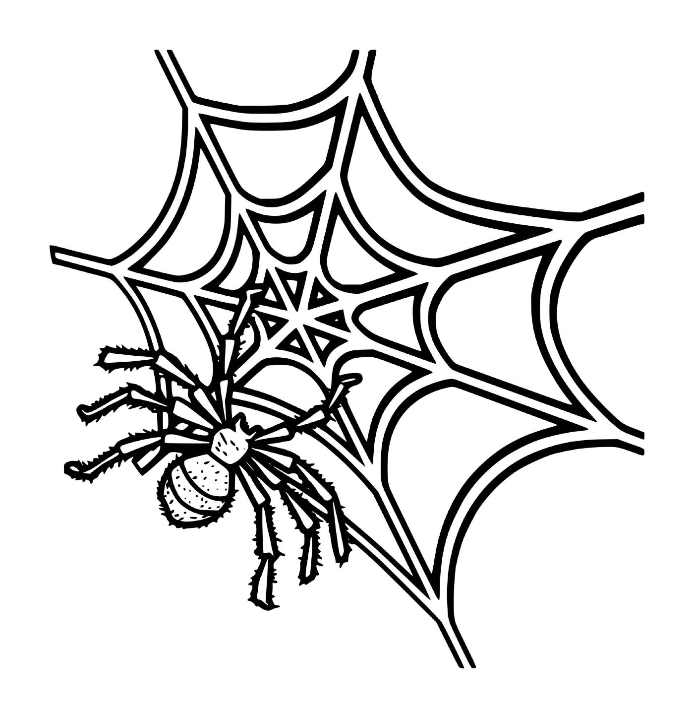  Una araña en una telaraña 