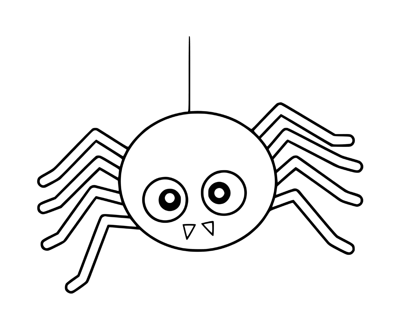 Eine Spinne 