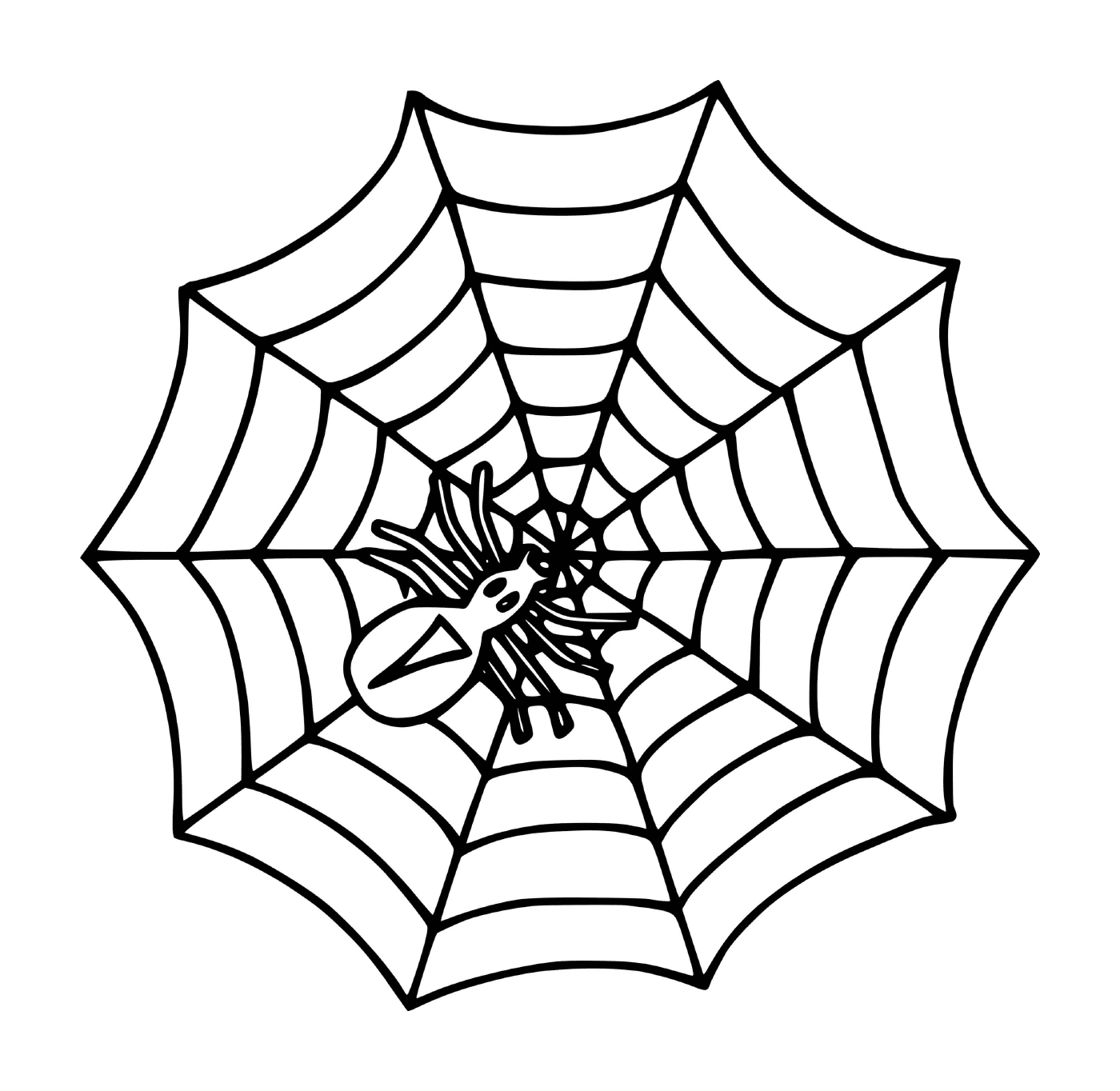  Eine einfache Spinne 