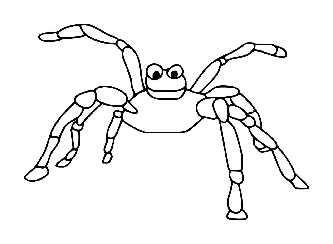  Eine beängstigende Spinne 
