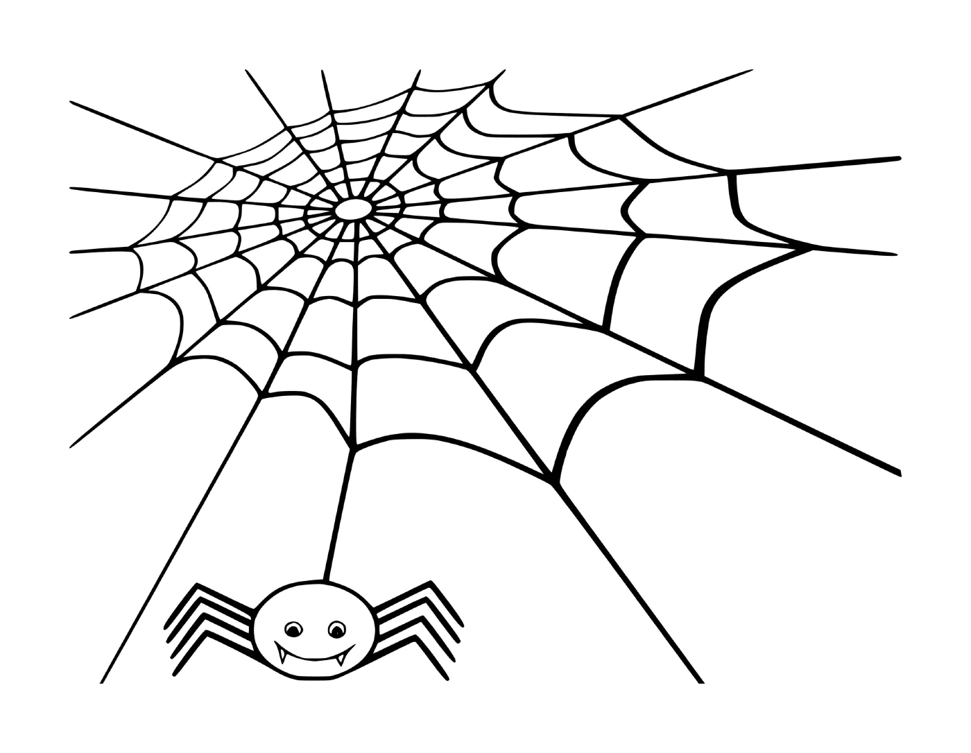  Das Netz einer Spinne, in dem eine Spinne ihre Beute erwartet 