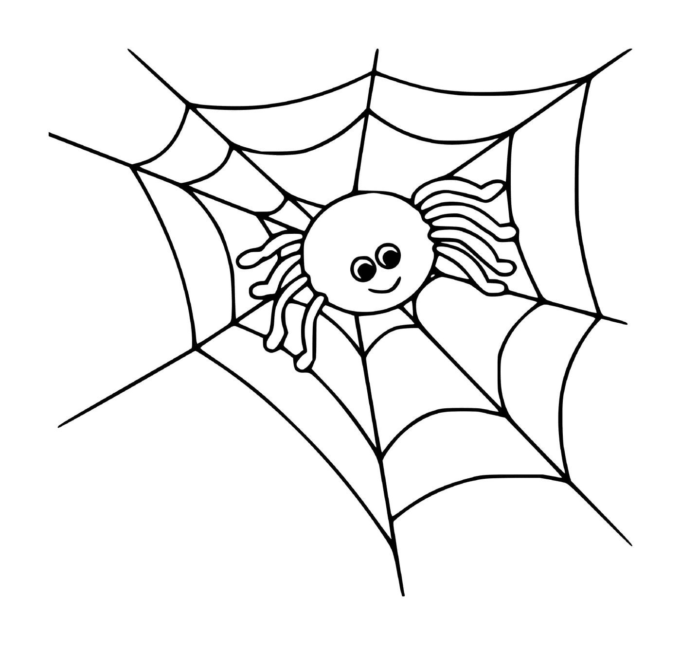  Eine niedliche Spinne auf einem Netz 