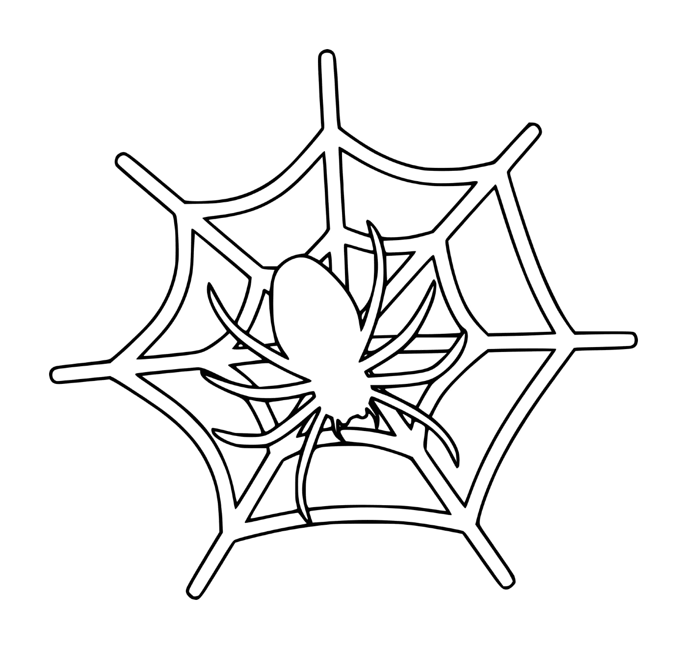 Eine Spinne auf einem Netz 