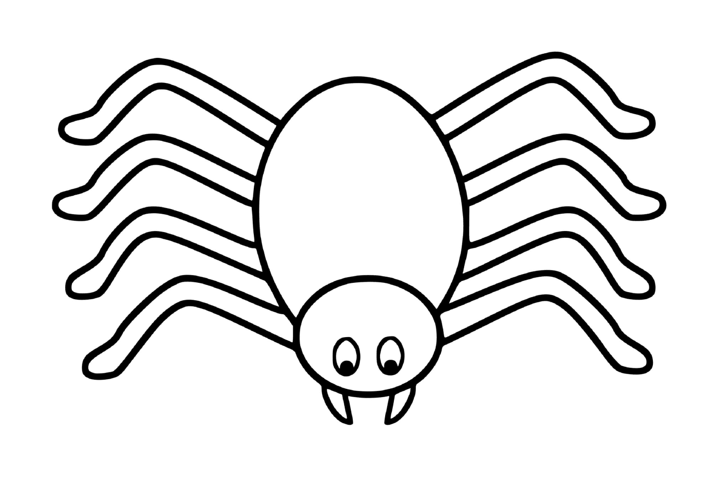  Eine einfache und einfache Spinne 