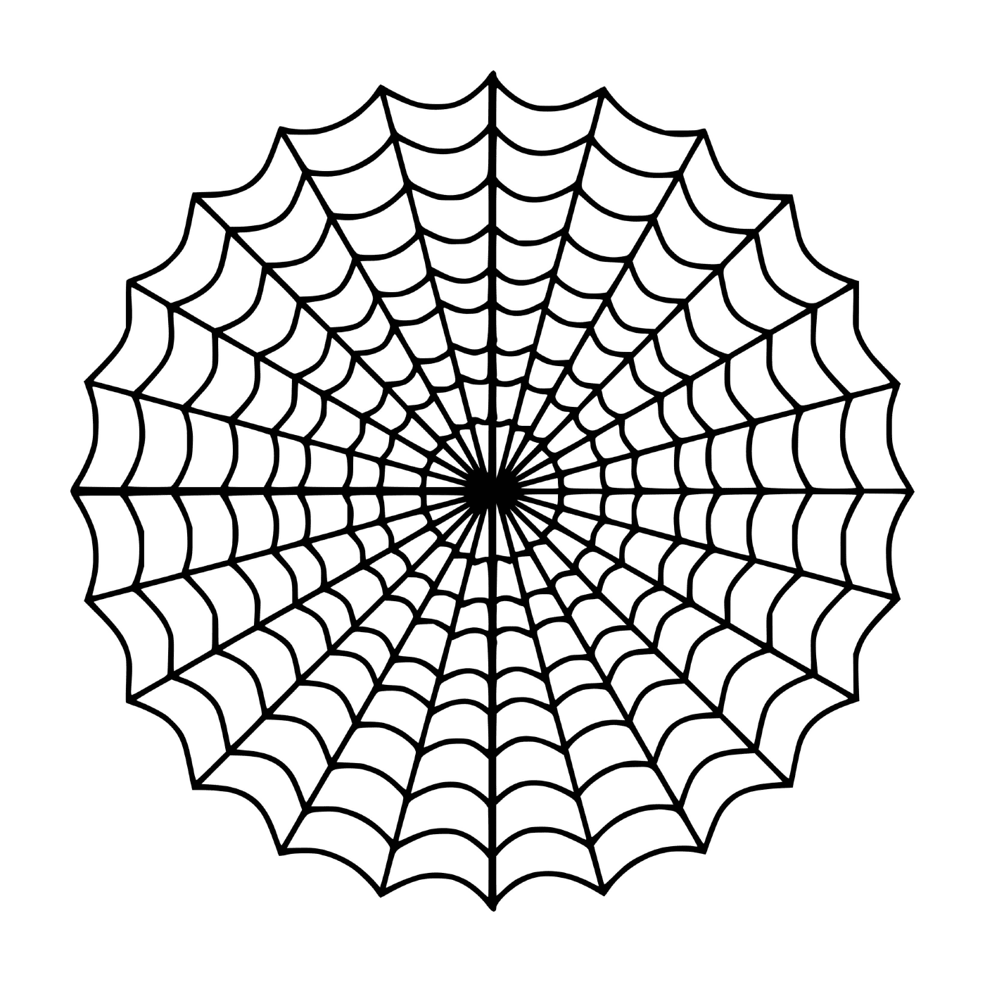  Ein Spinnennetz wird angezeigt 
